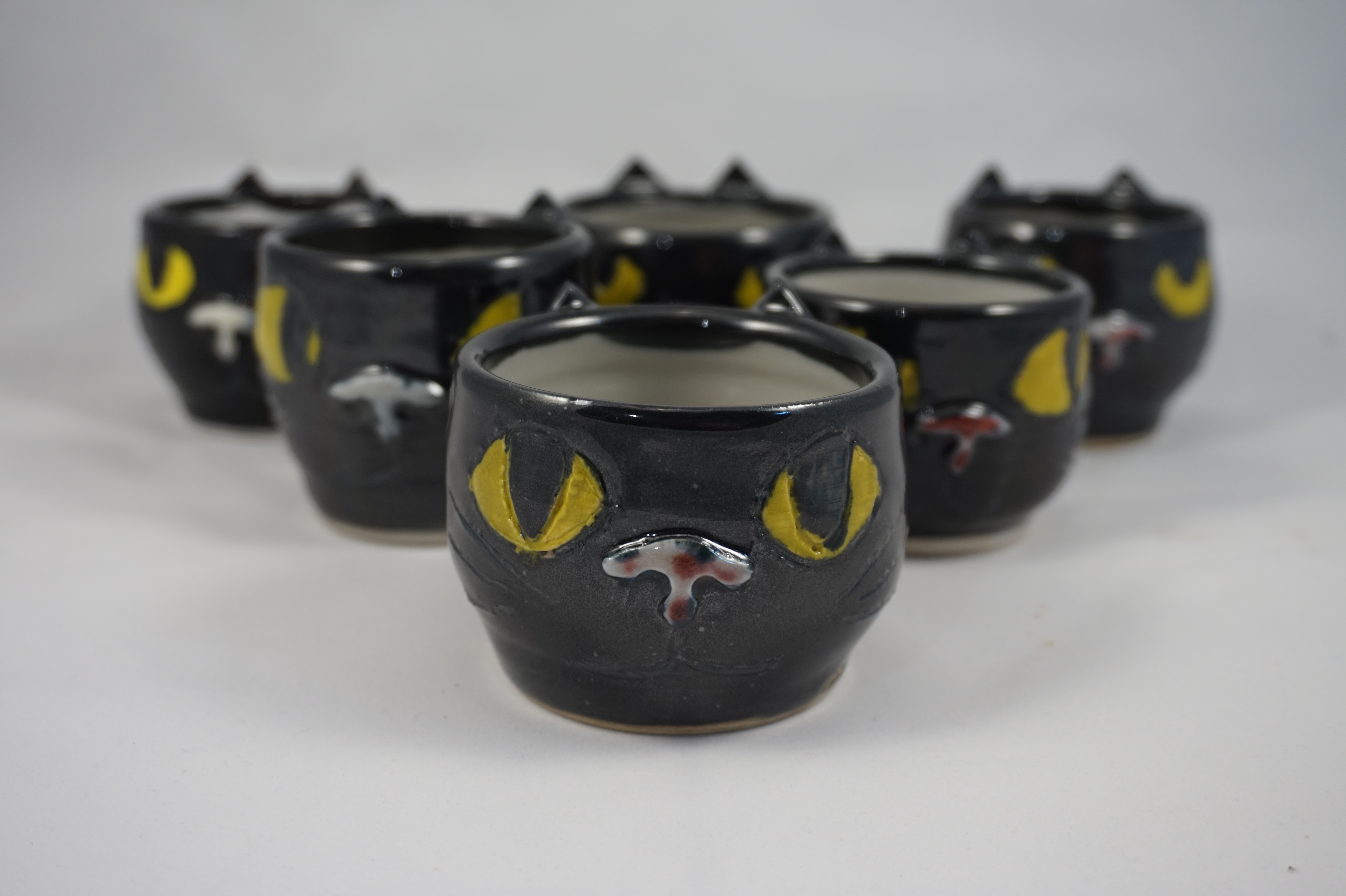 photo of six kitten cups in a triange