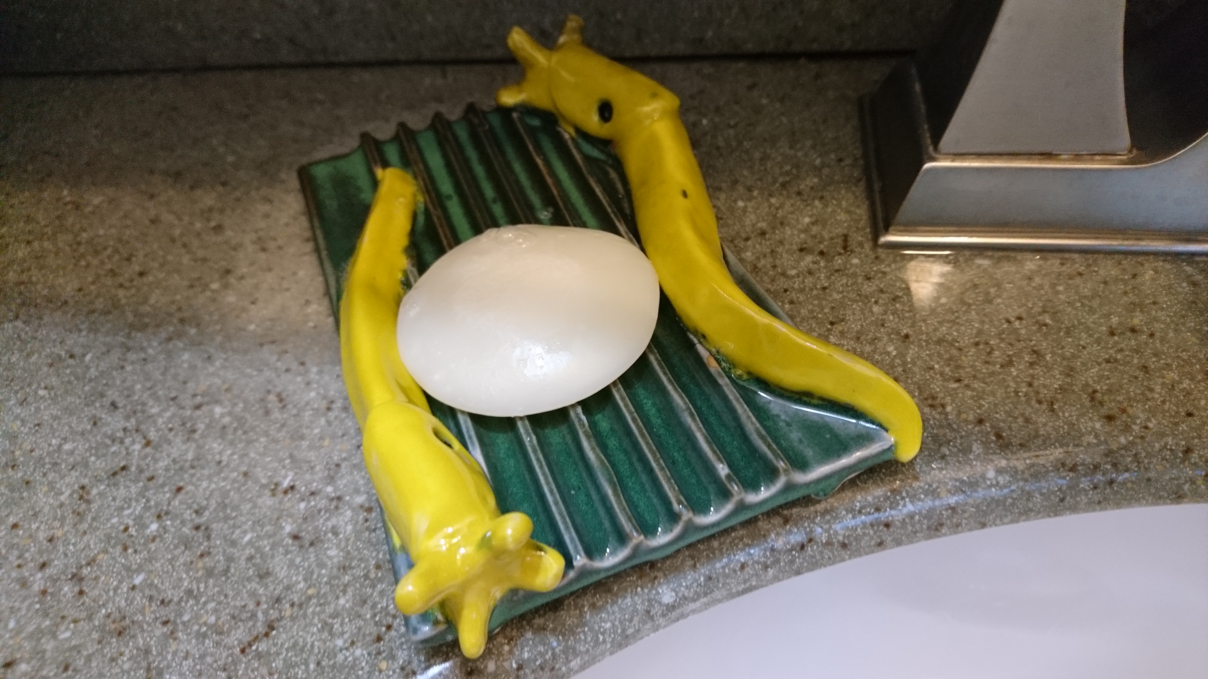 photo of a sluggy soap dish with soap on it