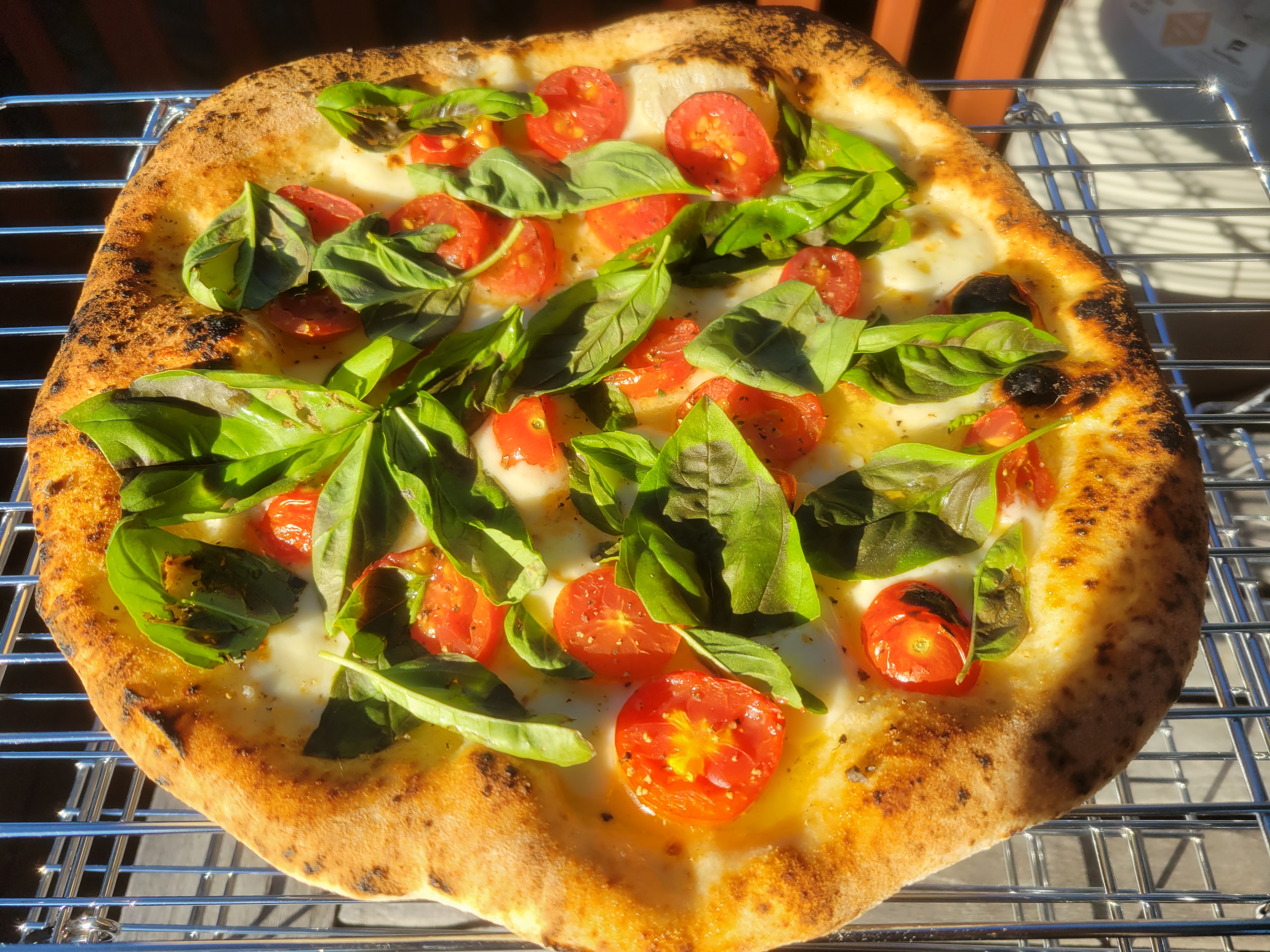 photo of a margherita pizza