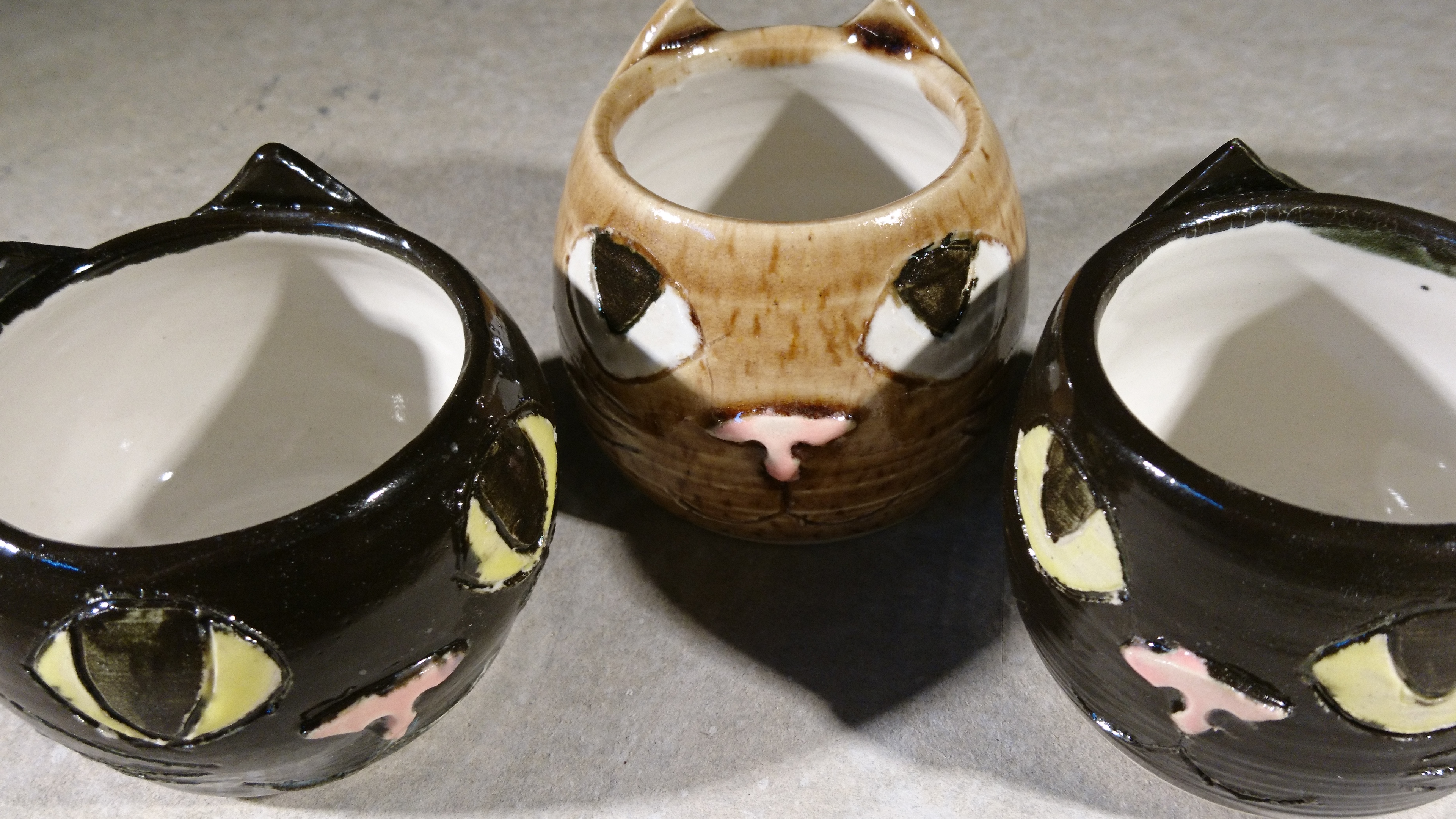 kitten cups