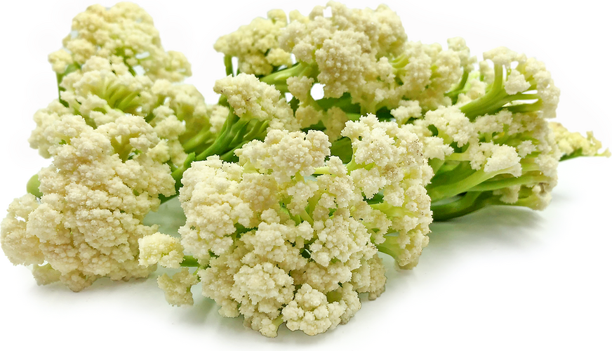 photo of several branches of fioretto cauliflower